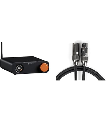 Amazon.com: Fosi Audio XLR Cable 1ft 2 Pack and ZD3 Desktop
